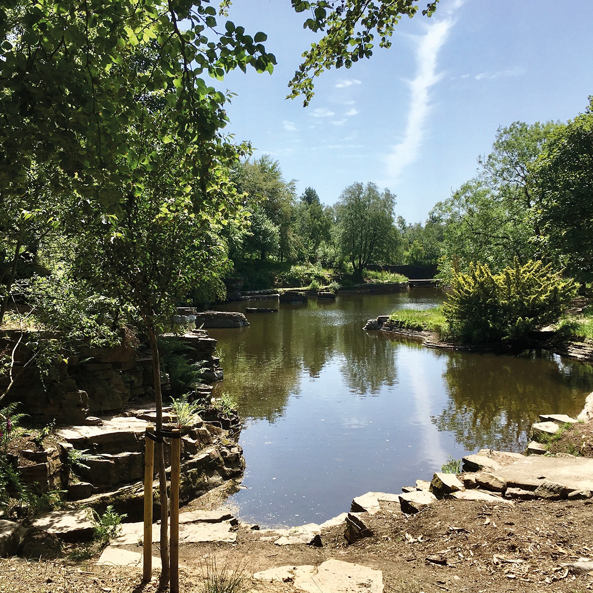 The Japanese Garden