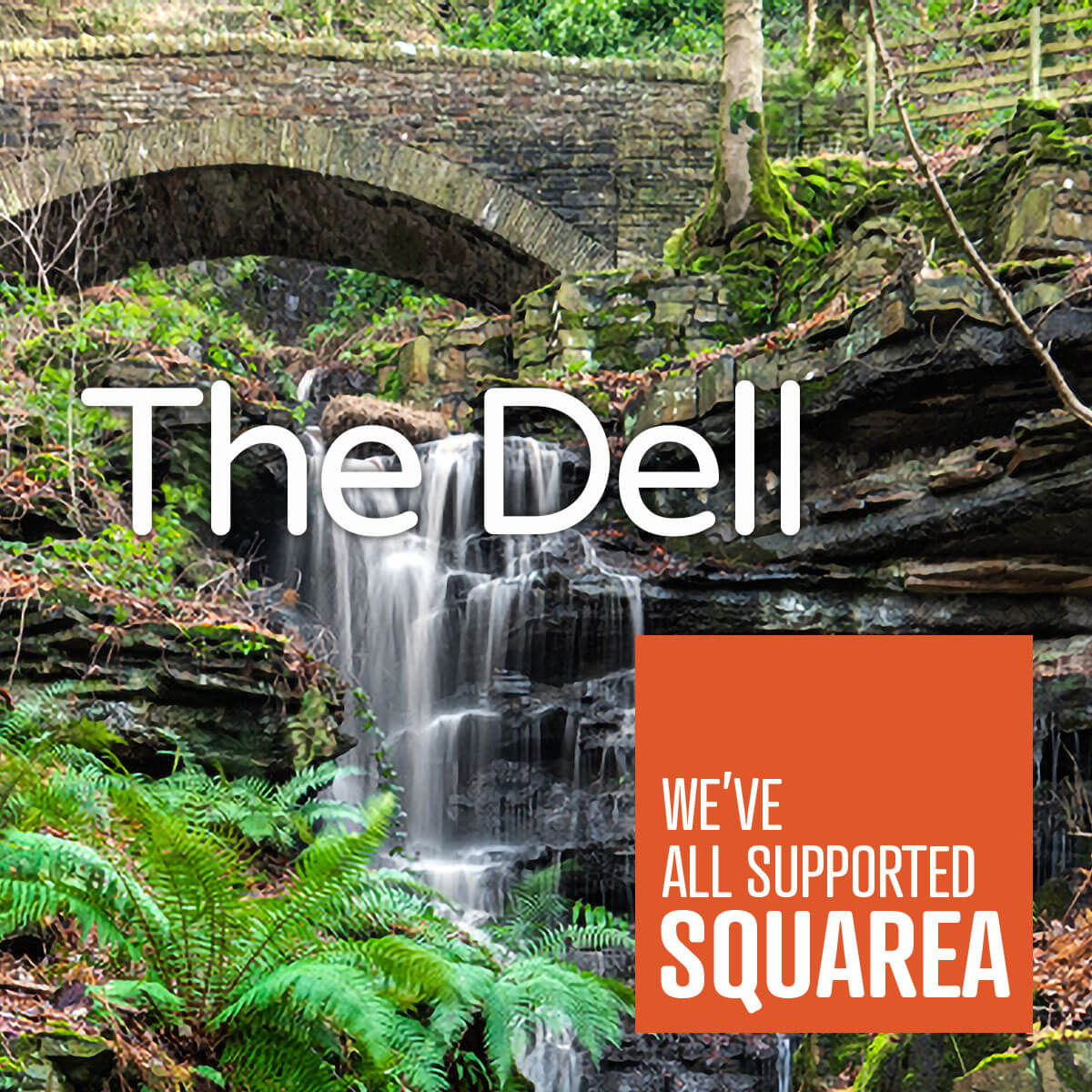 The Dell - We've all supported Squarea