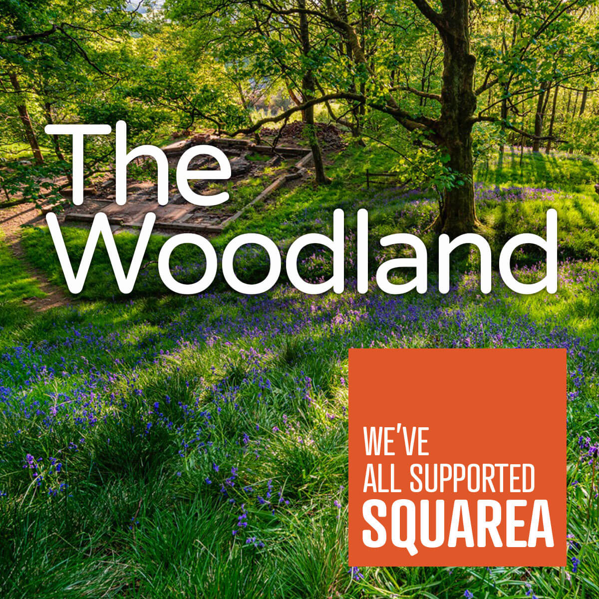 Woodlands - We've all supported Squarea