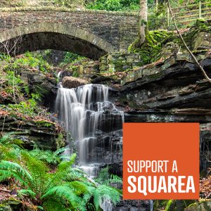 Squarea - The Dell
