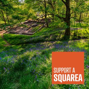 Squarea - Woodlands